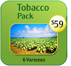 Non-Hybrid Tobacco Pack